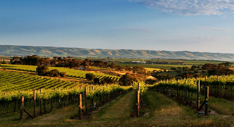 McLaren Vale